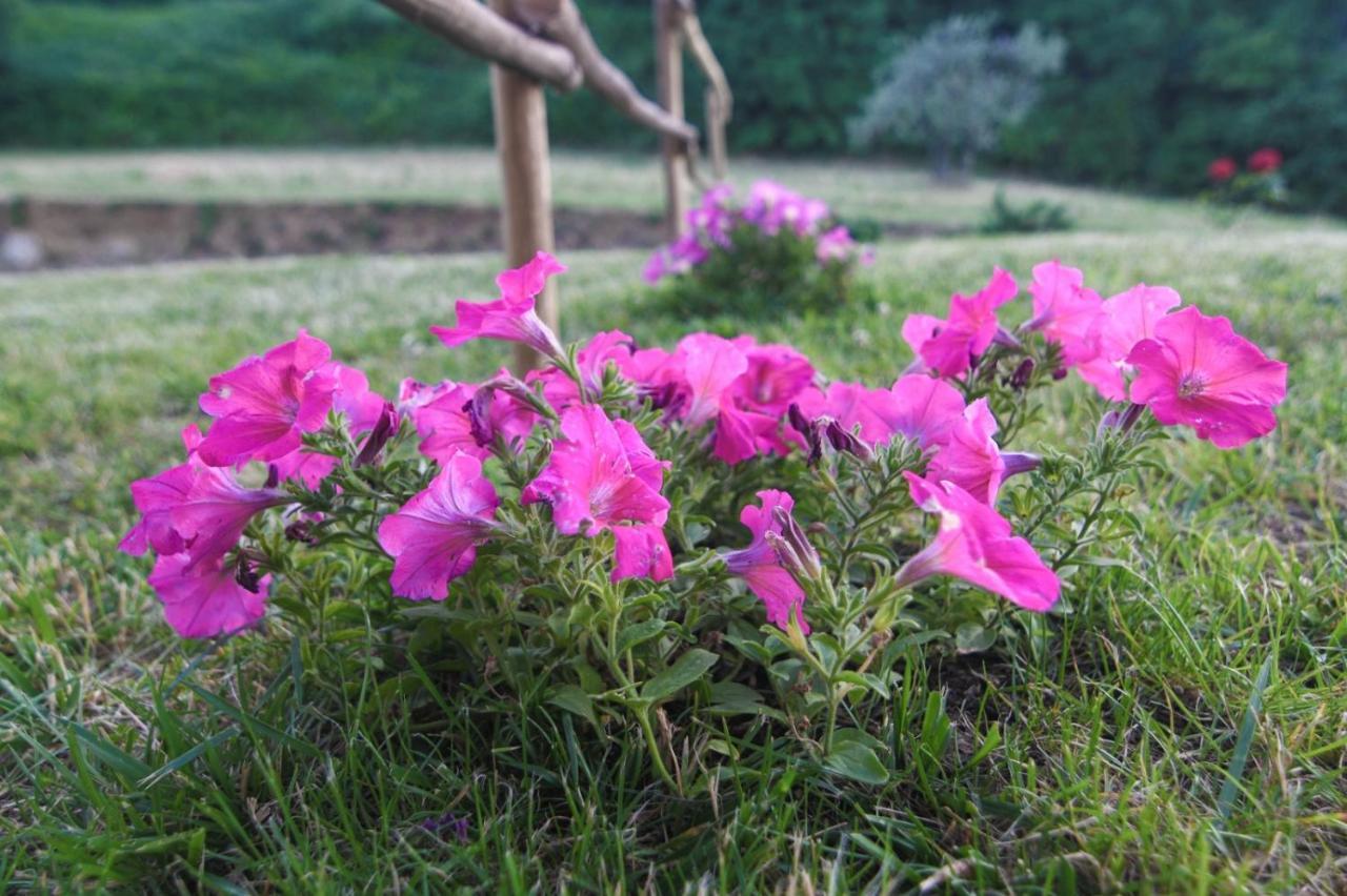 Agriturismo Poggio Ridulfo Volterra Dış mekan fotoğraf